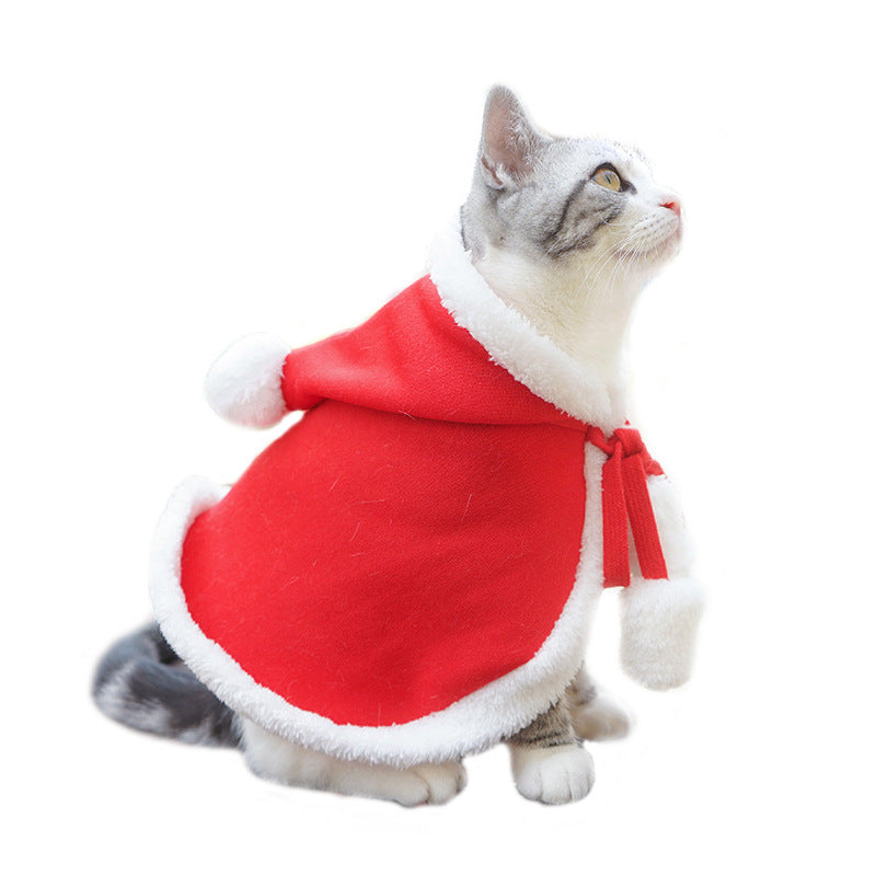 Pet clothing