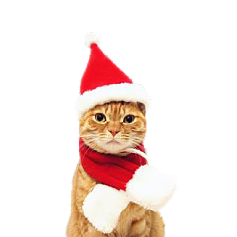 Pet clothing