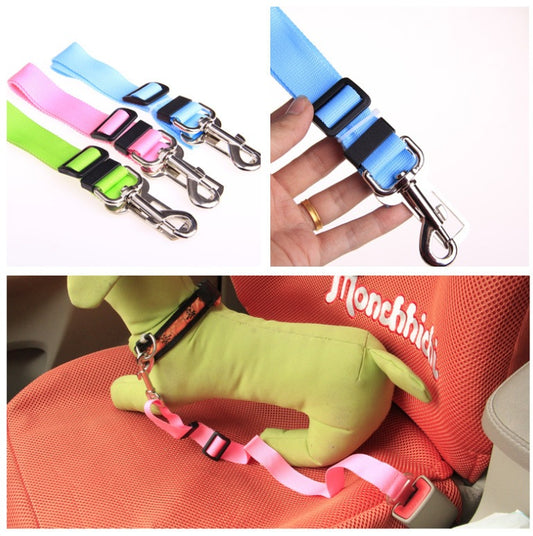 Pet safety belt