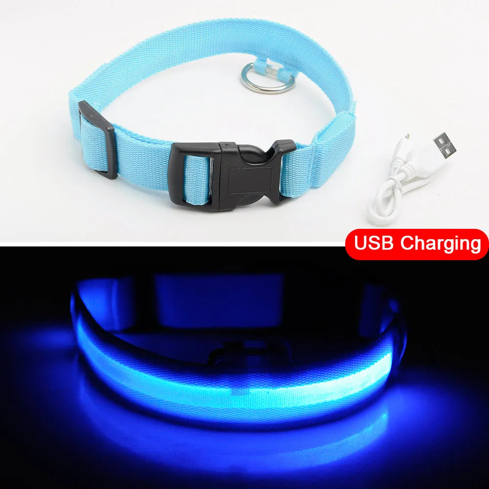 USB Charging Led Dog Collar